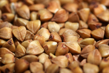 Buckwheat