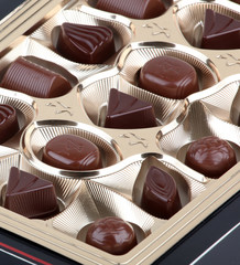 Chocolate gathering.
