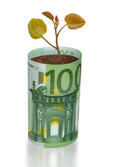 Fototapeta na wymiar Drzewko rośnie z rachunku euro