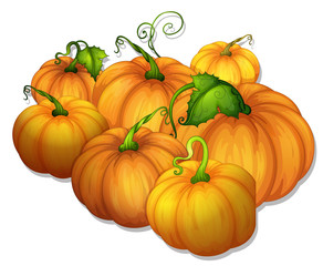 pumpkins