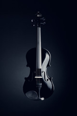 Fototapeta premium Elegant black violin