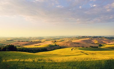 Fototapeta premium Tuscany landscape