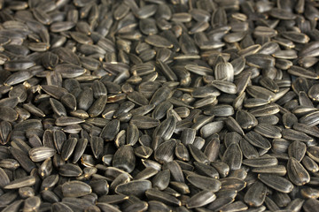 sunflower seeds background