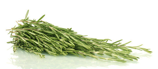 fresh green rosemary isolated on white