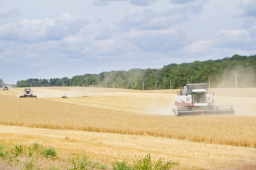 modern combine harvester working on a wheat crop