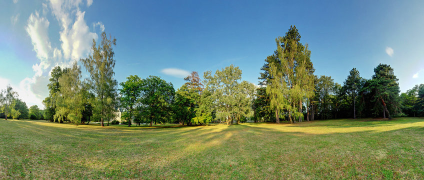 360 degree forest panorama