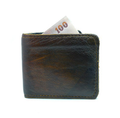 leather wallet with money