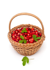 Fototapeta na wymiar wild strawberry in basket