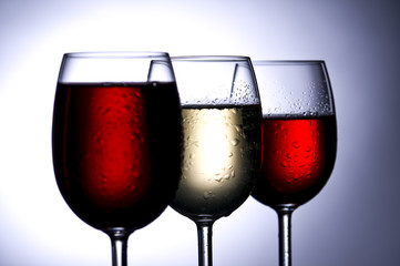 Weinglaeser im Gegenlicht