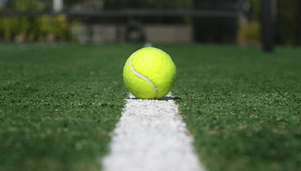 Tennis ball 2