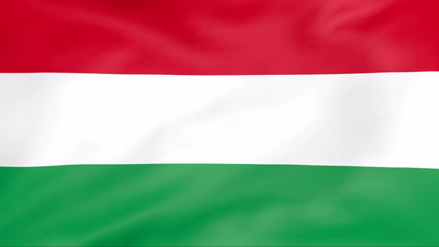 Developing the flag of Hungary