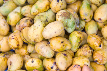 Lot of the mango in the market in Cambodia
