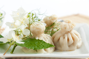 Fresh meat dumplings