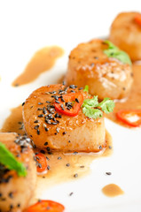 Scallop