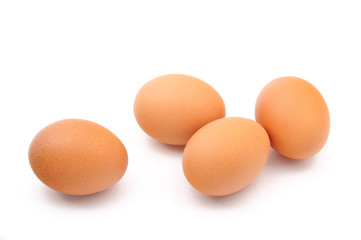 chicken eggs on white background