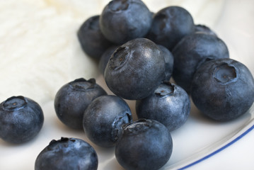 Blaubeeren Nahaufnahme