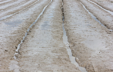 sludge in field