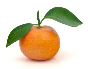 Oranges