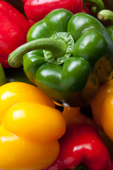 Fresh colorful paprika isolated