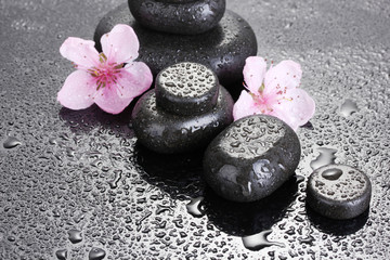Spa stones with drops and pink sakura flowers