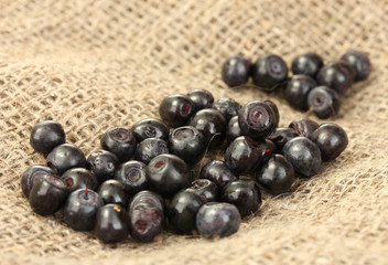 fresh blueberry on canvas background close-up