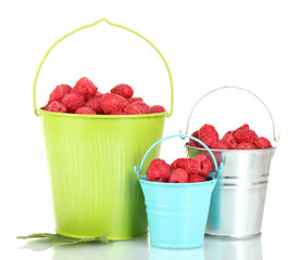 Fresh raspberries in buckets isolated on white
