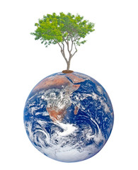 Fototapeta Planet earth as symbol of nature conservation.Elements of this i obraz