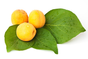 Apricot fruits with leaves isolated on white