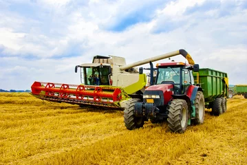 Fototapete Traktor Harvesting crops