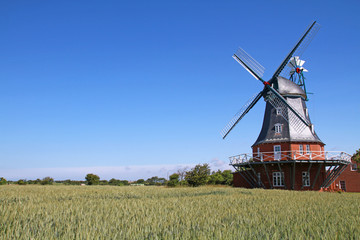 Windmühle in Borgsum
