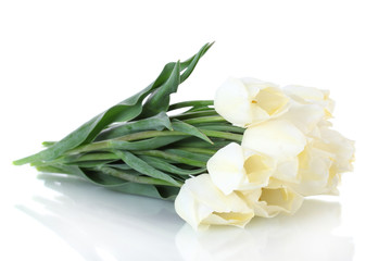 beautiful tulips isolated on white.