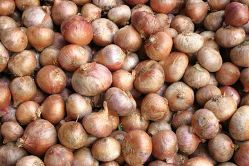 Red onion