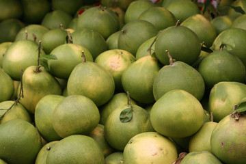 Pomelo or Chinese Grapefruit