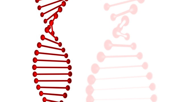 Red DNA rotating on white