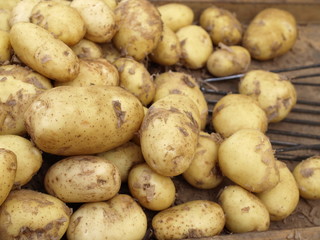 Potatoes