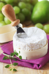 Camembert Cheese