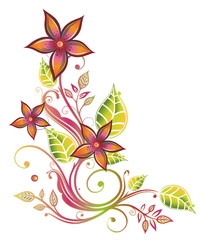 Ranke, flora, Blumen, Blüten, filigran, orange, pink