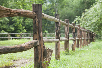 Old wooden fence