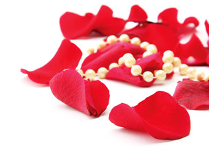 fine pearl beads and red roses petals