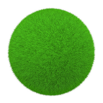 grass ball on a white background