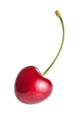 Cherry on white background