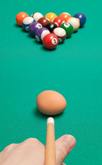 blow chicken egg on the billiard balls