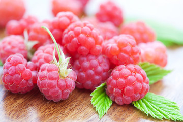 fresh raspberry