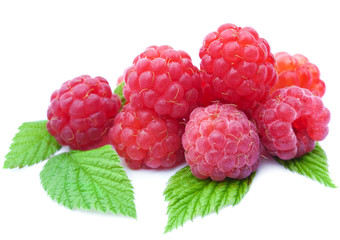 fresh raspberry isolated