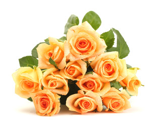 beautiful bouquet of roses isolated on white
