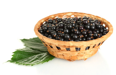 Fresh black currant in wicker basket isolated on white