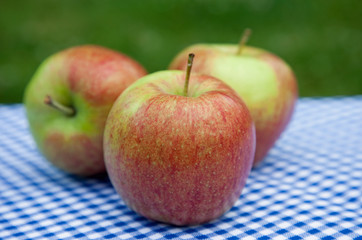 Äpfel I