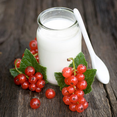 Johannisbeeren, Joghurt