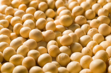 Soy Beans