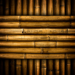bamboo background